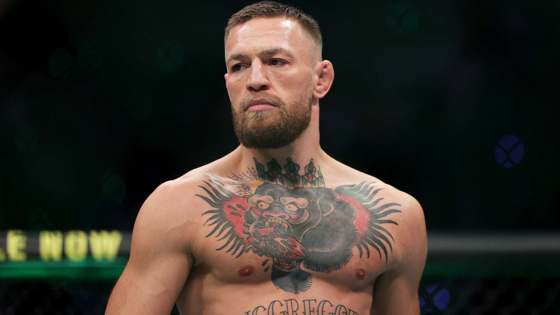 全球性的语 全球性的语