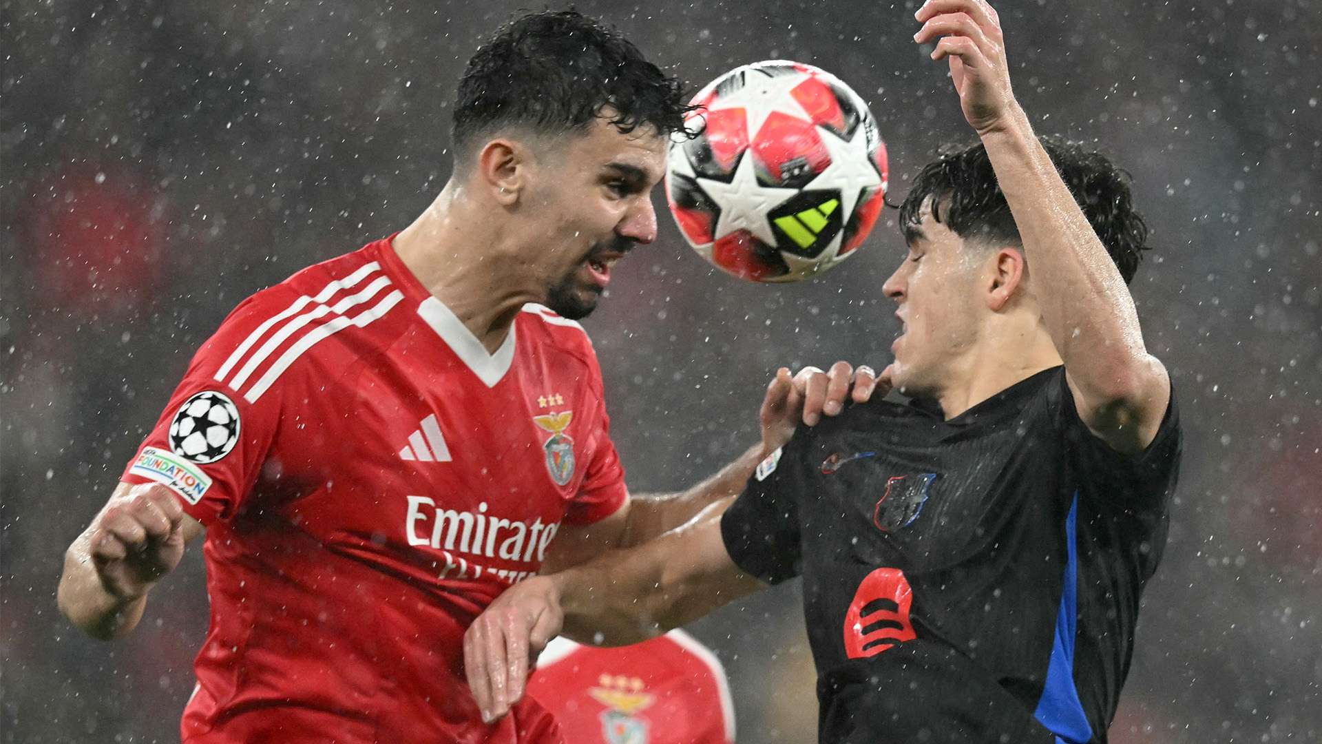 不妨和朋友 不妨和朋友