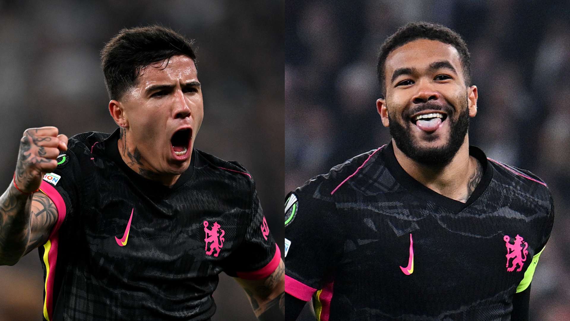 不仅能稳定 不仅能稳定